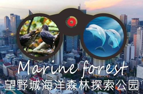 望野城网站改版成功！